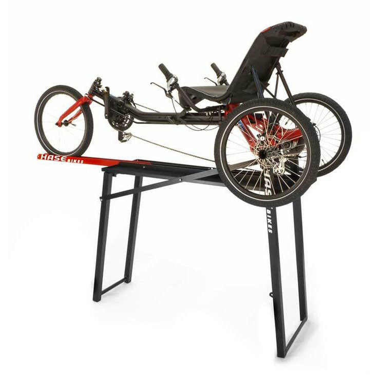 Hase workstand for recumbent trikes with delta trike on it.