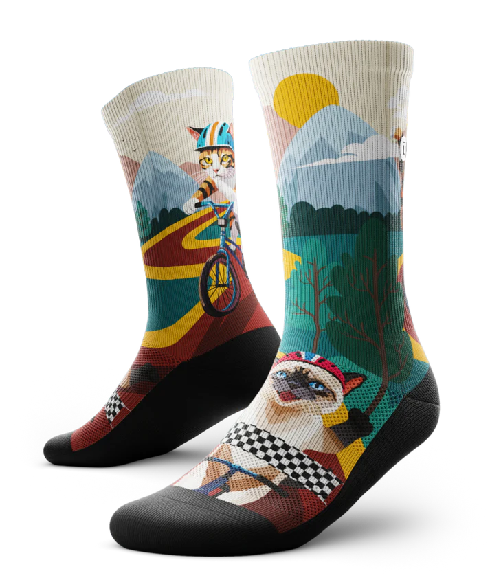 Pair of multicolored socks with cats wearing helmets riding bikes in a race