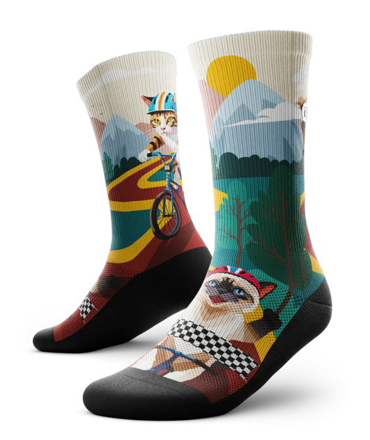 Pair of multicolored socks with cats wearing helmets riding bikes in a race