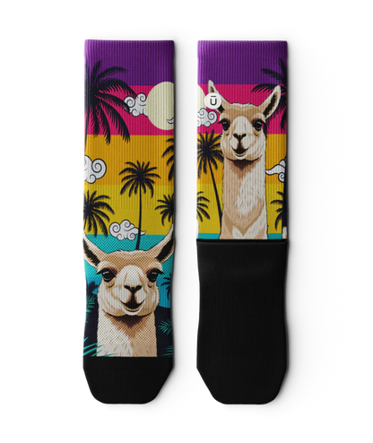 Pair of multicolored socks laying flat with ocean sunset, black palm trees, and heads of llamas.  