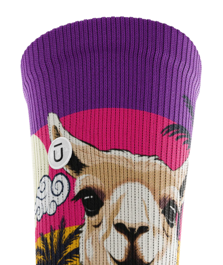 Top cuff view of sock with with ocean sunset, black palm trees, and heads of llamas on main part of sock. Top of sock is purple, then pink, then orange.  Small white circular patch with Outway logo on top third of cuff. 