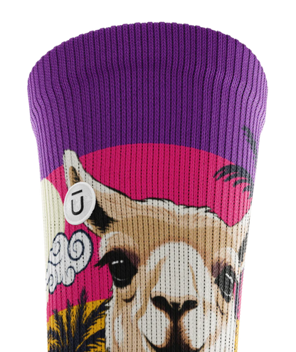 Top cuff view of sock with with ocean sunset, black palm trees, and heads of llamas on main part of sock. Top of sock is purple, then pink, then orange.  Small white circular patch with Outway logo on top third of cuff. 
