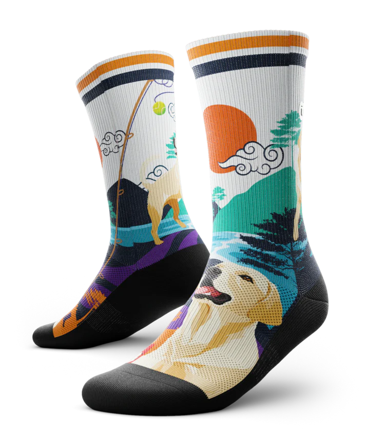 Multicolored pair of socks with yellow labs chasing a tennis ball on a string, with a Asian inspired background of sun, trees, mountain and stream. 