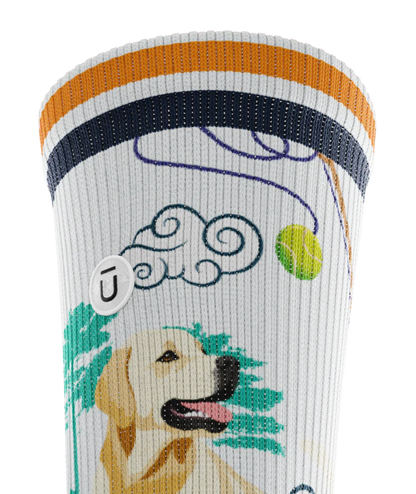 Top cuff of Multicolored pair of socks with yellow labs chasing a tennis ball on a string, with a Asian inspired background of sun, trees, mountain and stream.  Small white circular patch with Outway logo on top third of cuff. 