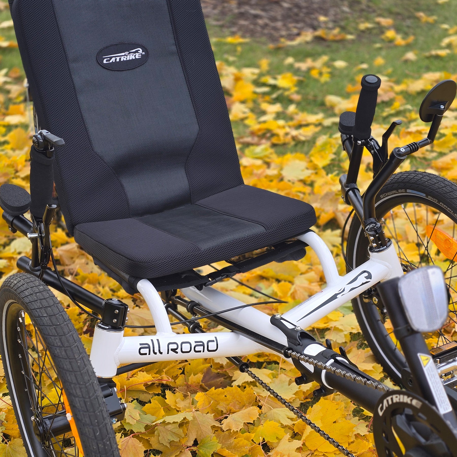 Recumbent trike with black seat and 'Catlike' branding on a background of autumn leaves.