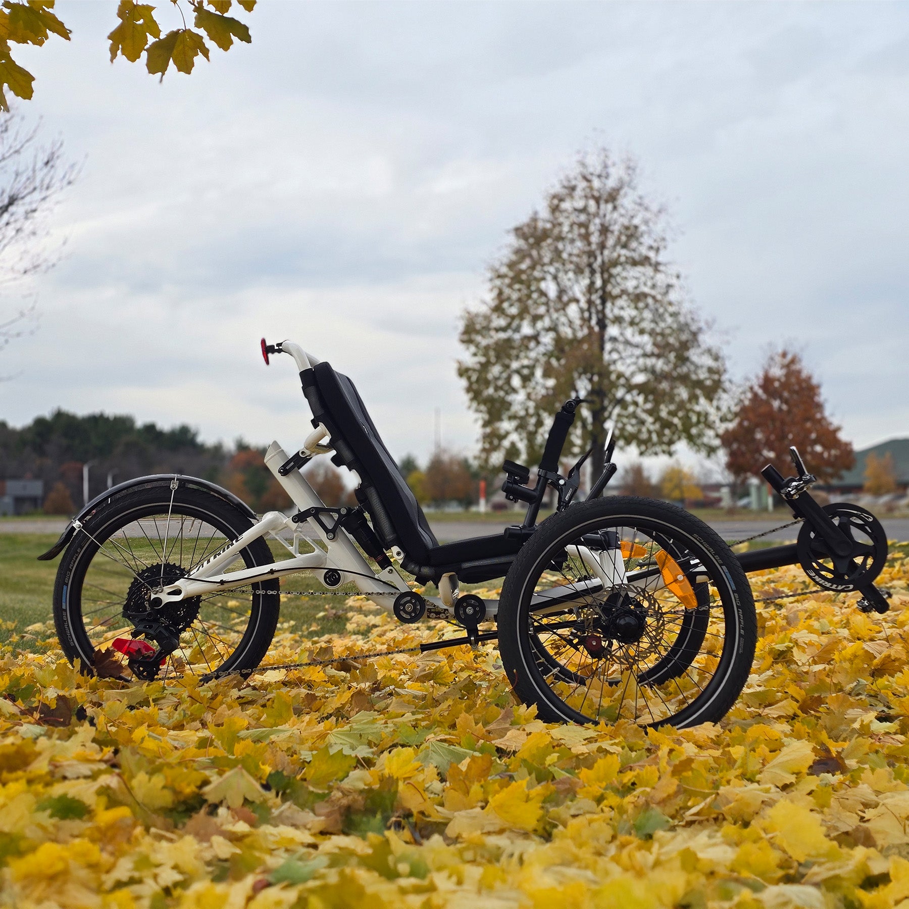 Three-wheeled recumbent trike on a path with autumn leaves and trees in the background.