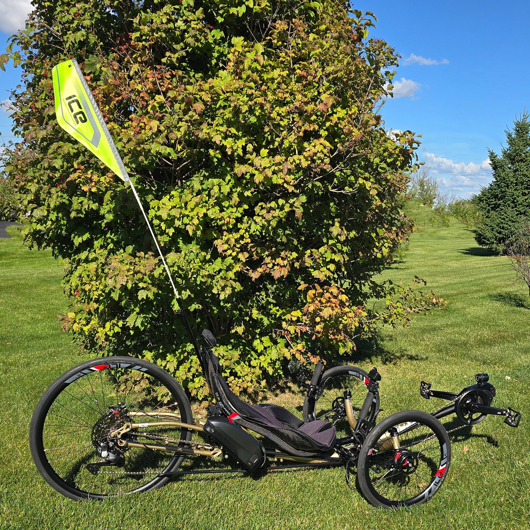 An ICE reflective safety flag mounted on an electric ICE trike on a rear light mount on a hardshell seat in front of a tall bush.
