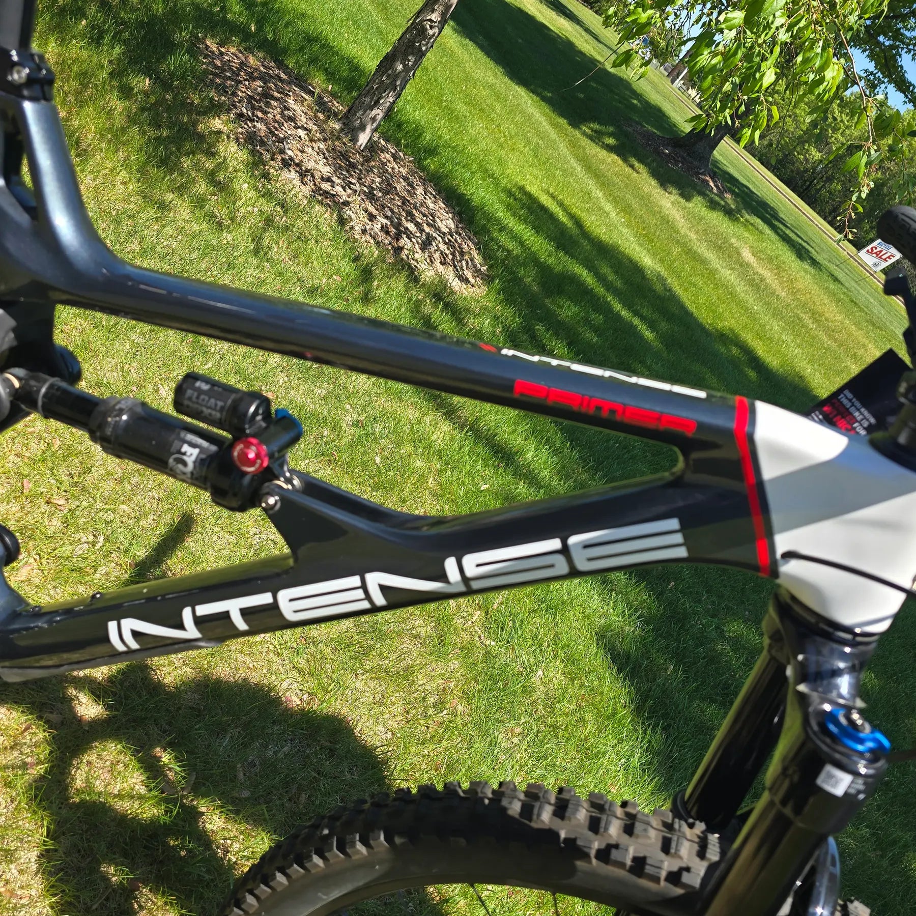 Closeup view of the frame on the INTENSE Primer 29 Pro Midnight Grey-White in an outdoor setting.