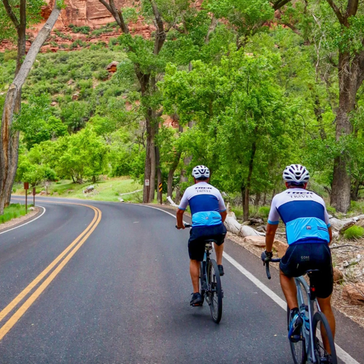 Two cyclists on a road surrounded by green trees and red rock formations.