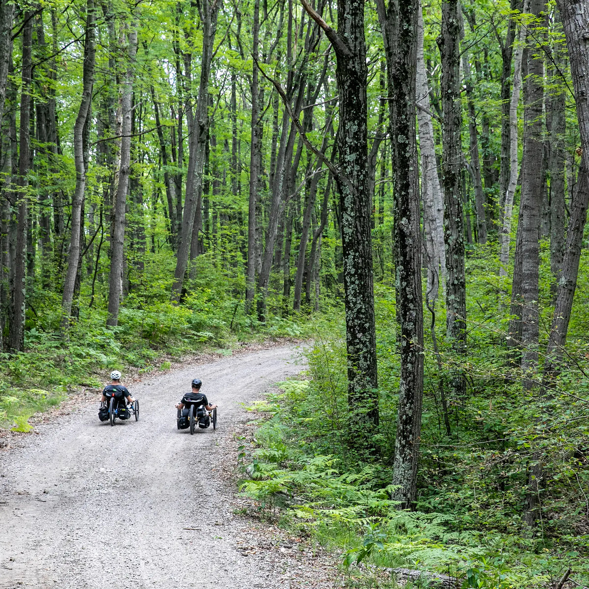 View of two people riding the TerraTrike All Terrain Graphite Grey e-Plus Recumbent Trike down a gravel road through a wooded forest.