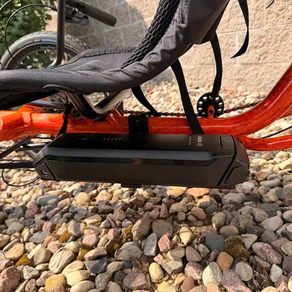 TerraTrike Demo Gran Tourismo e-Plus Flame On Recumbent Trike