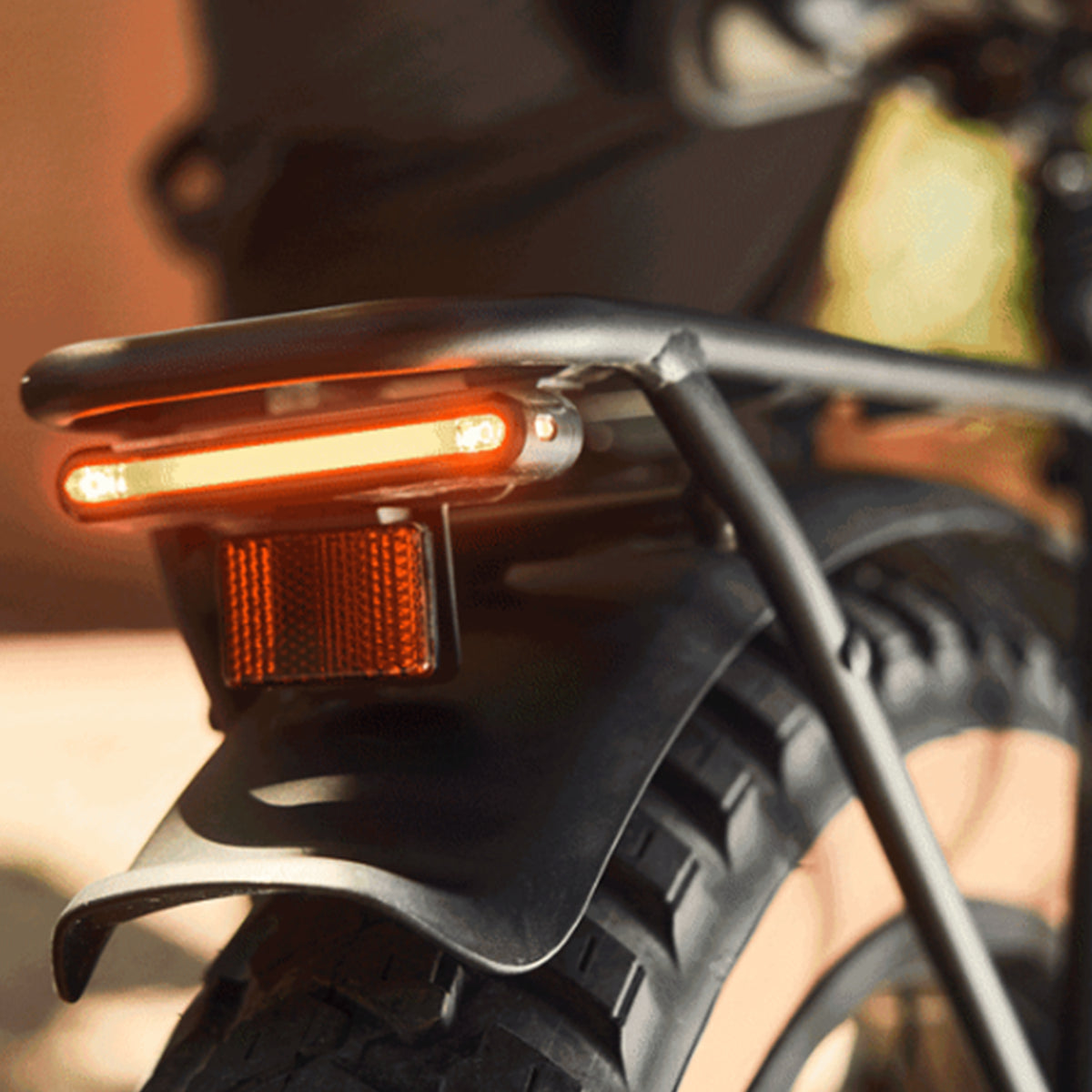 Closeup view of the taillight, fender and rear rack on the Trek Borrego+ S against a blurred out outdoor background.