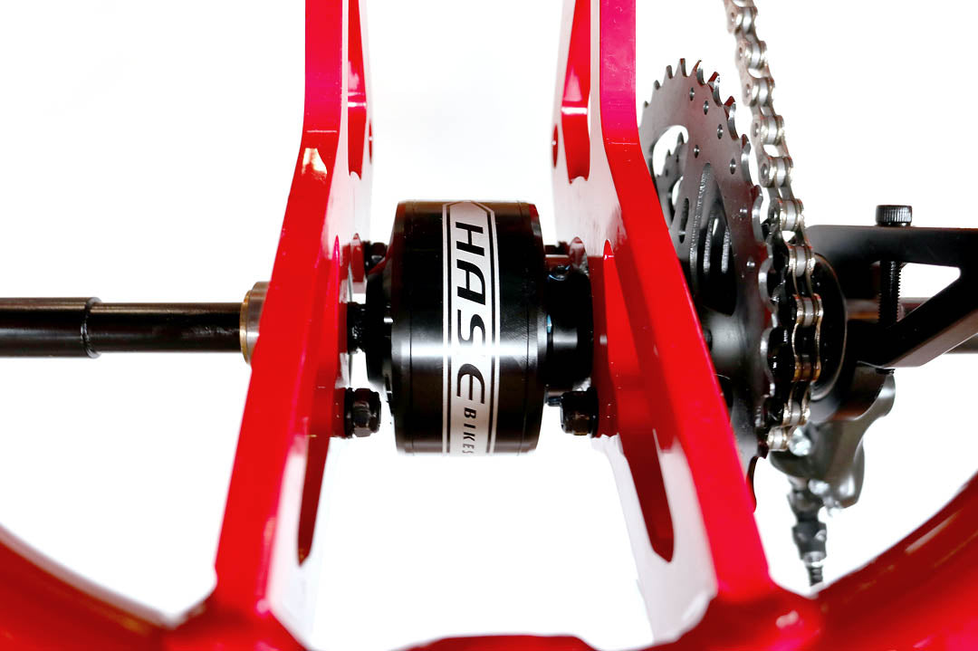 Close up image of a black and white Hase differential installed on the red frame of a Hase Trigo trike.