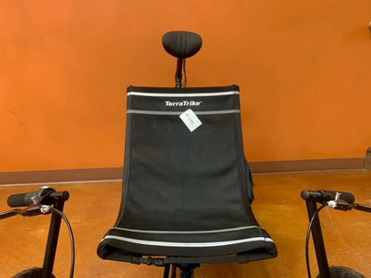 TerraTrike Headrest
